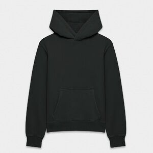 Aritzia Cozy Fleece Perfect Hoodie